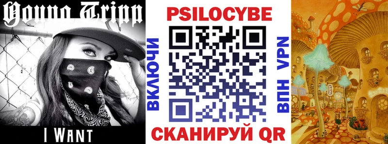 shop официальный сайт где найти наркотики Кемь Галлюциногенные грибы GOLDEN TEACHER